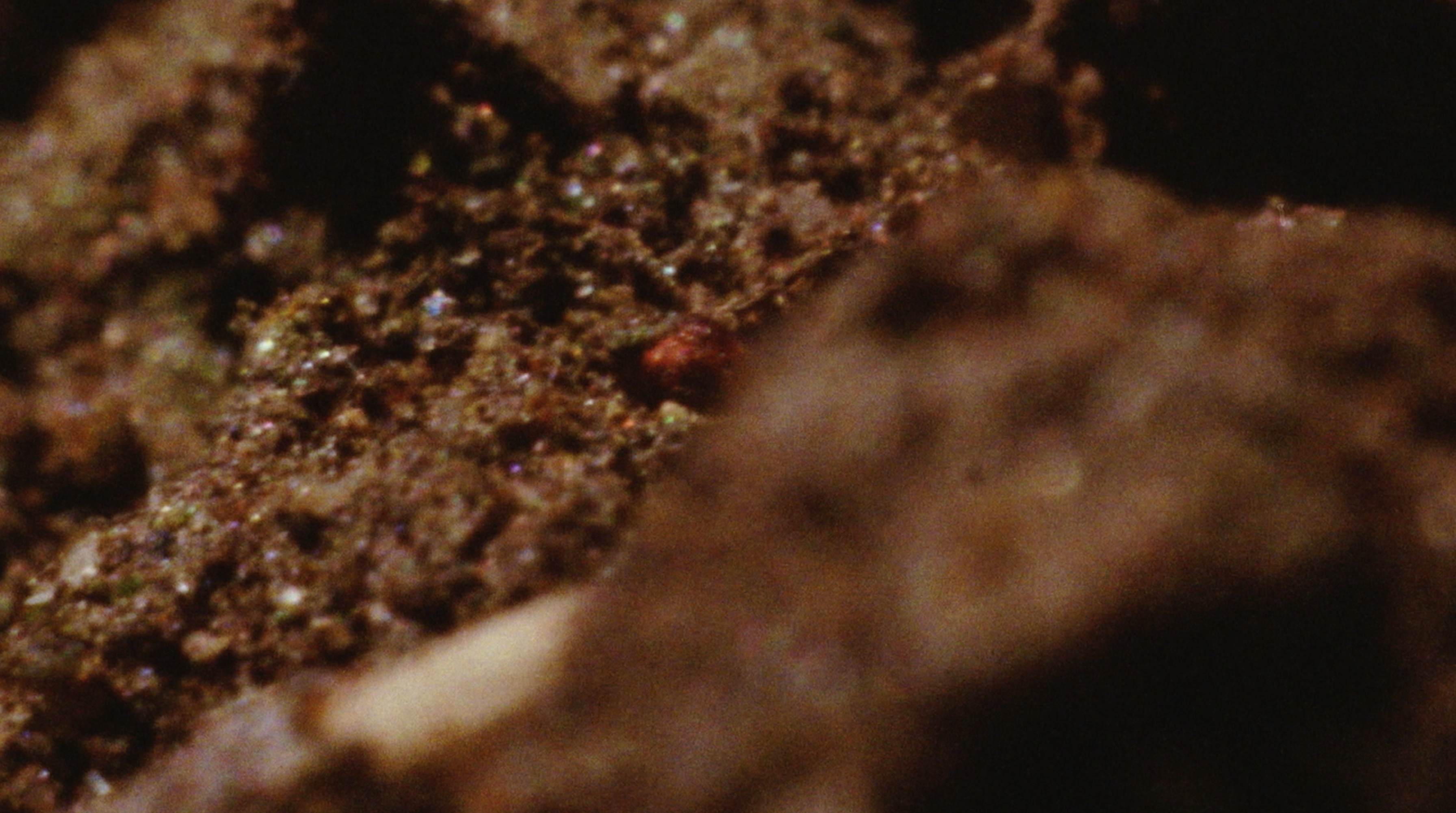Soil Story